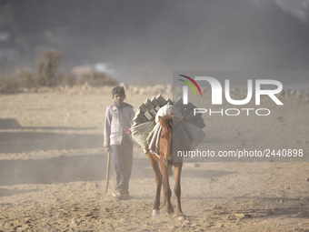 Workers carrying raw bricks using donkey at a brick factory in Lalitpur, Nepal on Tuesday, January 23, 2018. (