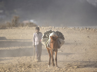 Workers carrying raw bricks using donkey at a brick factory in Lalitpur, Nepal on Tuesday, January 23, 2018. (