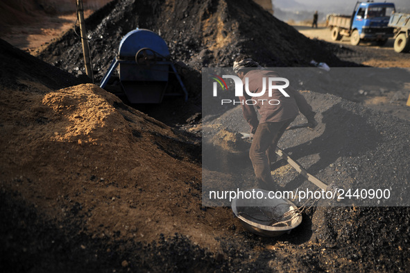 A Migrant worker from India, arrange coal to carry at a brick factory in Lalitpur, Nepal on Tuesday, January 23, 2018. 