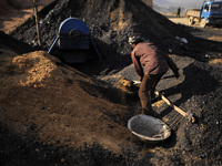 A Migrant worker from India, arrange coal to carry at a brick factory in Lalitpur, Nepal on Tuesday, January 23, 2018. (