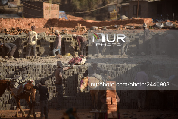 Migrant workers from India, arranging raw bricks in a Brick Factory at Lalitpur, Nepal on Tuesday, January 23, 2018. 