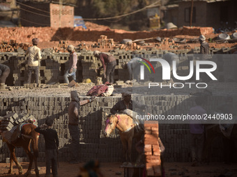 Migrant workers from India, arranging raw bricks in a Brick Factory at Lalitpur, Nepal on Tuesday, January 23, 2018. (