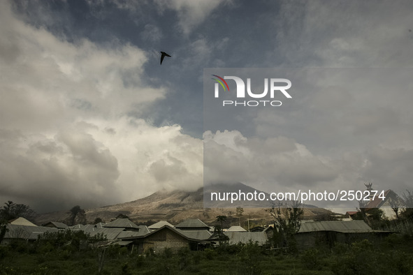 Photo taken on Sept. 13, 2014
A village abandoned as Mount Sinabung is seen on the background in Sukanalu village, At Karo, North Sumatra, I...