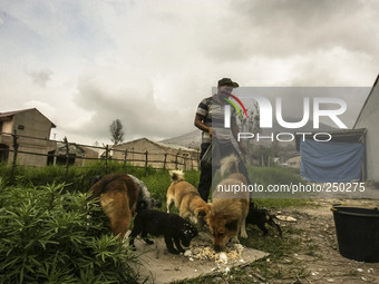 Photo taken on Sept. 13, 2014
Villager give a dog eat as Mount Sinabung is seen on the background in Sukanalu village, At Karo, North Sumatr...