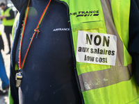 The majority of Air France unions are opposed to the NAO 2018 agreement and are demonstrating for the achievement of a 6% general wage incre...