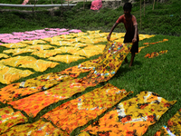 Bangladeshi labors working in the Batik Cloth industry at Narsingdi area near Dhaka, Bangladesh, on April 26, 2018. Each Worker earns par da...