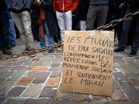 A cardboard reading 'Students from Paul Sabatier University condemn repression of social movements and support Le Mirail university'. Severa...