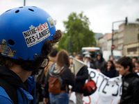 A demonstrator wears an helmet with a sticker reading 'Notre rêve des Landes'. Several sectors on strike called to a protest and a gathering...