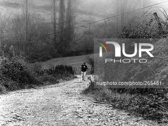 The path "camino de Zabaleta" leads to "puerto de Ibaneta", near Roncesvalles, Spain, on November 2004  (