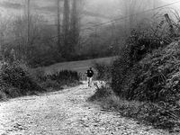 The path "camino de Zabaleta" leads to "puerto de Ibaneta", near Roncesvalles, Spain, on November 2004  (