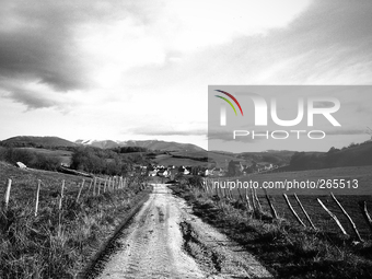  Along the road to Santiago de Compostela, on the path between Biscarreta and Lintzoain, Spain, on December 2004  (