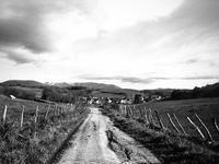  Along the road to Santiago de Compostela, on the path between Biscarreta and Lintzoain, Spain, on December 2004  (