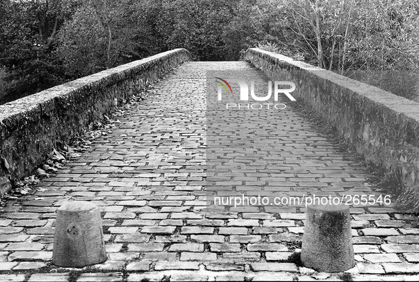 Maddalena bridge, medieval entrance to the first major town on the road to Santiago de Compostela, in Pamplona, ​​Spain, on December 2004 
 