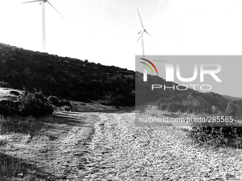 Along the climb to Alto del Perdòn you see on the top of the sierra tech windmills that harness the considerable wind energy in the area, in...