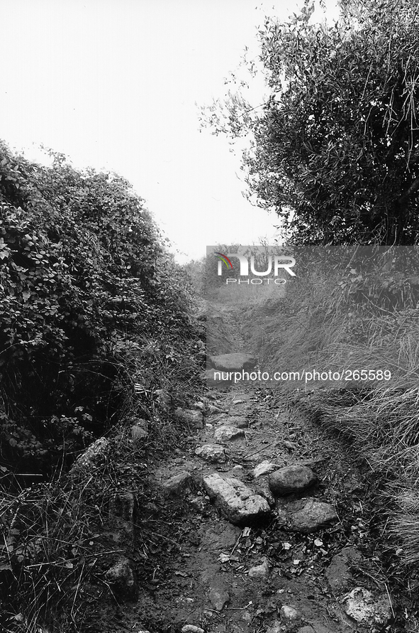 Deviation of the path in the Camino de Santiago de Compostela, near Villamayor de Monjardin, Spain, on December 2004  