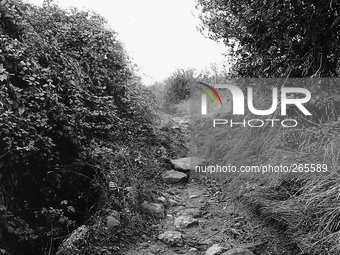 Deviation of the path in the Camino de Santiago de Compostela, near Villamayor de Monjardin, Spain, on December 2004  (