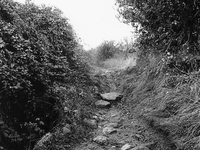 Deviation of the path in the Camino de Santiago de Compostela, near Villamayor de Monjardin, Spain, on December 2004  (