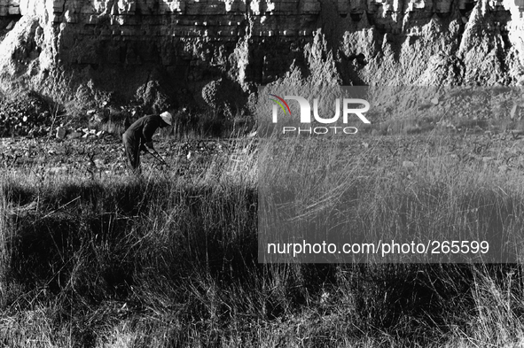 Country-man at work in the Rioja region, in  Viana, Spain, on December 2004  