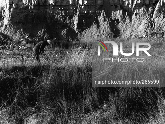 Country-man at work in the Rioja region, in  Viana, Spain, on December 2004  (