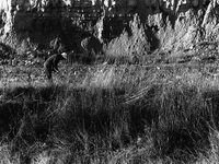 Country-man at work in the Rioja region, in  Viana, Spain, on December 2004  (