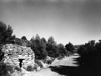 Among Torres del Rio and Viana  the path is called by the Spaniards "rompepiernas"  
(brake-legs) for the ups and downs, in Viana, Spain, on...