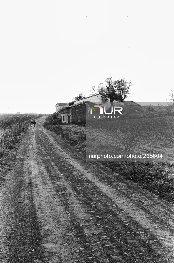 The agricultural path that leads to Alto de Antòn, near Ventosa, Spain, on December 2004  