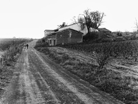 The agricultural path that leads to Alto de Antòn, near Ventosa, Spain, on December 2004  (