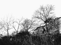 Countryman at work, on the outskirts of Najera, Spain, on December 2004  (