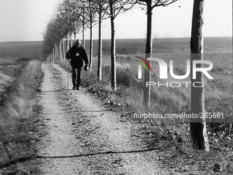 A pilgrim, Spanish doctor of Valencia, along the tree-lined path that joins the N 120, in Calzada de Coto, Spain, on December 2004  (