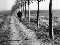 A pilgrim, Spanish doctor of Valencia, along the tree-lined path that joins the N 120, in Calzada de Coto, Spain, on December 2004  (