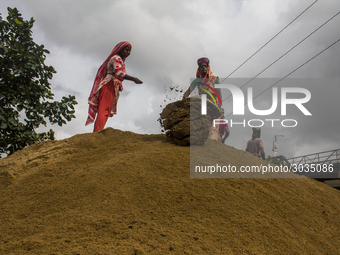 Women during the Day labors are working in a domestic port in Dhaka, Bangladesh, on 14 August 2018. (