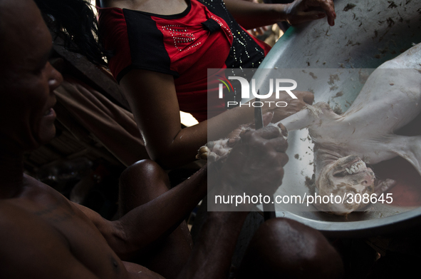 Phnom Krom, Tonle Sap, Cambodia. Dogs are beaten to death before removing the hair, it is believed to tenderise the meat before cooking and...