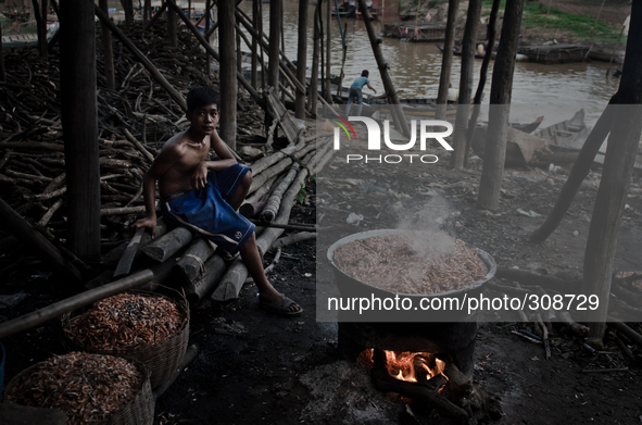 Kampong Pluk, Tonle Sap, Cambodia. Shrimps are sold on the banks of the Tonle Sap Lake.

The Tonle Sap Lake is situated in the heart of Ca...