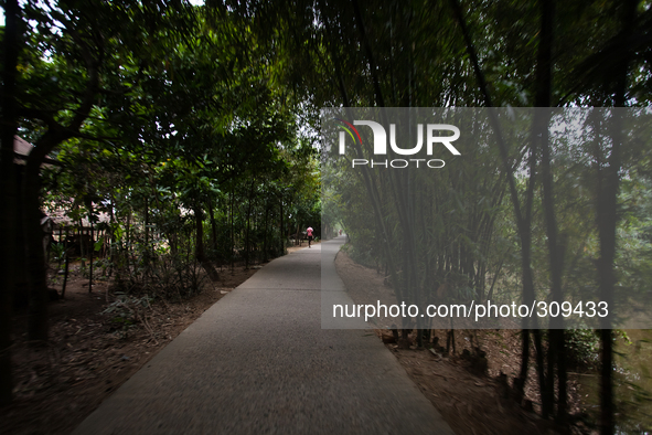 This is the way through villages to reach Dolura Martyrs' Square. 
Its been 43 years since Bangladesh got independence but yet there are th...