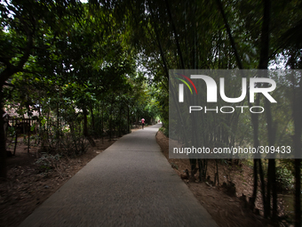 This is the way through villages to reach Dolura Martyrs' Square. 
Its been 43 years since Bangladesh got independence but yet there are th...