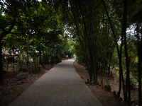 This is the way through villages to reach Dolura Martyrs' Square. 
Its been 43 years since Bangladesh got independence but yet there are th...