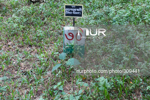 Tombstone of Md Somuj Ali (Address Unknown). Thousands of martyrs' identities still remain unknown even after all these years. 
Its been 43...