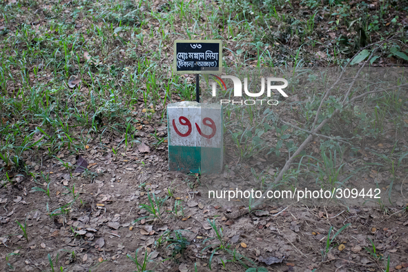 Tombstone of Md Mannan Mia (Address Unknown). Thousands of martyrs' identities still remain unknown even after all these years.
Its been 43...