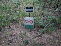 Tombstone of Md Mannan Mia (Address Unknown). Thousands of martyrs' identities still remain unknown even after all these years.
Its been 43...