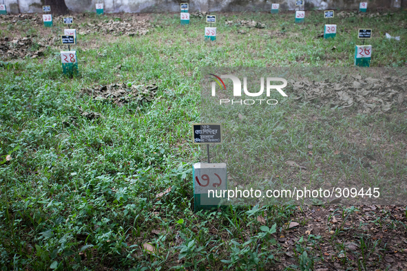 Martyr Md Siddiqur Rahman (Address Unknown) is resting in peace along with many others at the Dolura Martyrs' Square. 
Its been 43 years si...