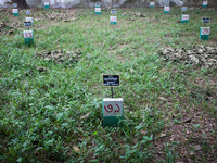 Martyr Md Siddiqur Rahman (Address Unknown) is resting in peace along with many others at the Dolura Martyrs' Square. 
Its been 43 years si...