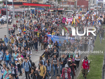 A general view of the crowd in the march of students for public education in Bogota, Colombia, on 28 November 2018. (