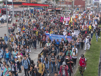 A general view of the crowd in the march of students for public education in Bogota, Colombia, on 28 November 2018. (