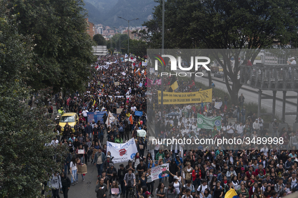 A general view of the crowd in the march of students for public education in Bogota, Colombia, on 28 November 2018. 