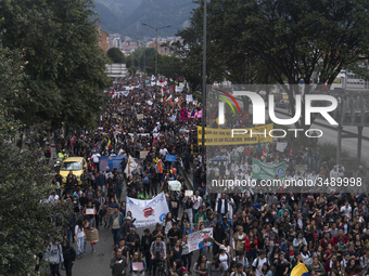 A general view of the crowd in the march of students for public education in Bogota, Colombia, on 28 November 2018. (