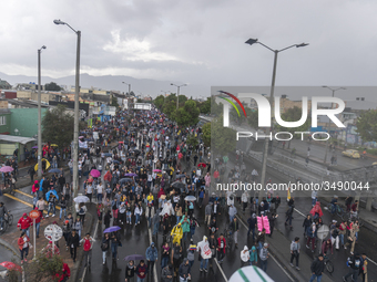 A general view of the crowd in the march of students for public education in Bogota, Colombia, on 28 November 2018. (