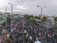 A general view of the crowd in the march of students for public education in Bogota, Colombia, on 28 November 2018. (