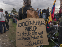 A student of the National Pedagogical University participates in the March of students for public education in Bogota, Colombia, on 28 Novem...