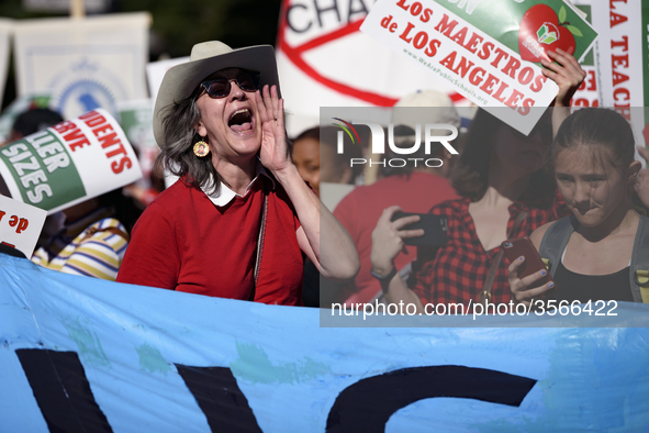 Teachers and supporters of public education march against education funding cuts during the March for Public Education in Los Angeles, Calif...