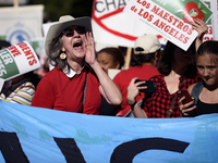 Teachers and supporters of public education march against education funding cuts during the March for Public Education in Los Angeles, Calif...